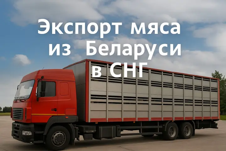 экспорт